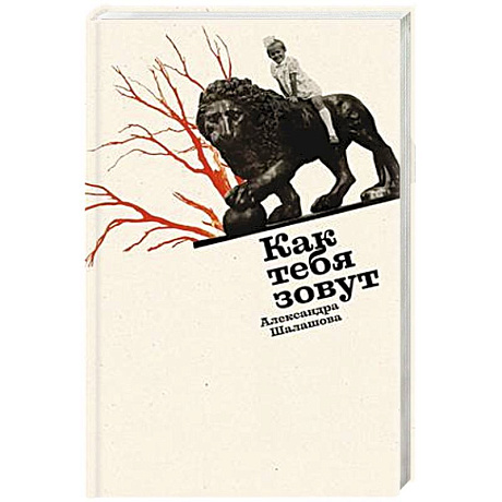 Фото Как тебя зовут