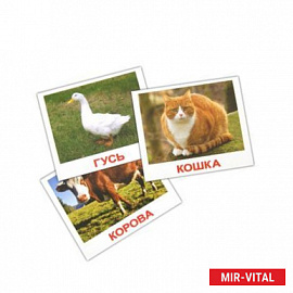 Комплект карточек Домашние животные  МИНИ