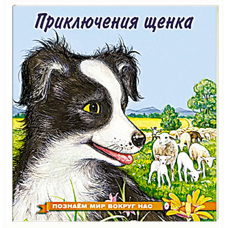 Фото Приключения щенка