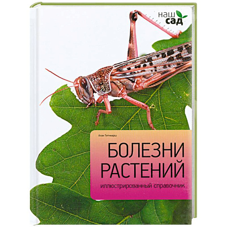 Фото Болезни растений