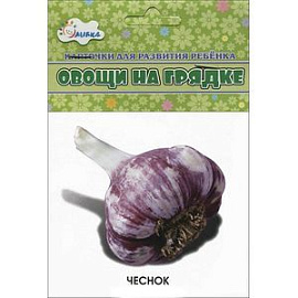 Овощи на грядке