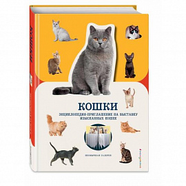 Кошки