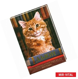 Дьюи. Кот из библиотеки, который потряс весь мир.
