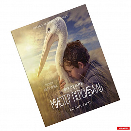 Штормик и мистер Персиваль