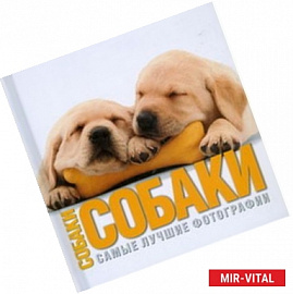 Альбом  'Собаки. Самые лучшие фотографии'