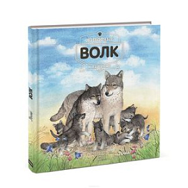 Животные в природе. Волк