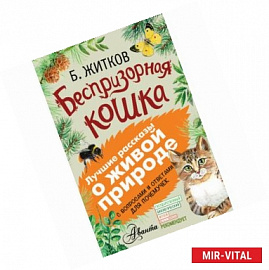 Беспризорная кошка