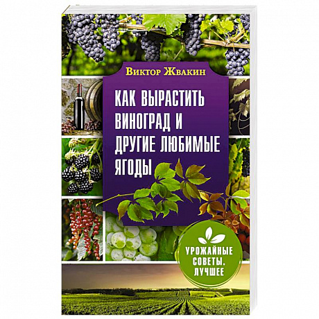 Фото Как вырастить виноград и другие любимые ягоды. Простые и понятные инструкции для начинающих