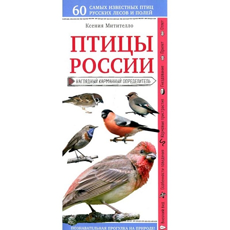 Фото Птицы России. Наглядный карманный определитель
