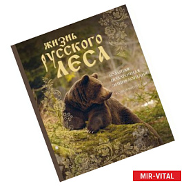 Жизнь русского леса. Большая подарочная энциклопедия (медведь)