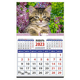 Календарь Год кота. Высоко сижу на 2023 год