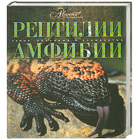 Фото Рептилии. Амфибии