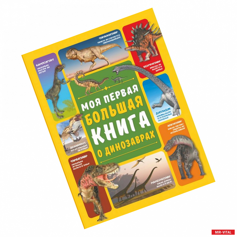 Фото Моя первая большая книга о динозаврах