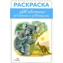 Животные Америки и Австралии . Раскраска