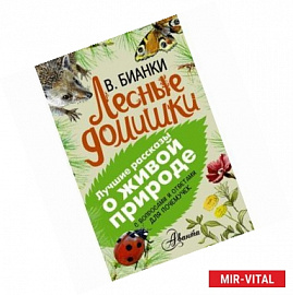 Лесные домишки. С вопросами и ответами для почемучек