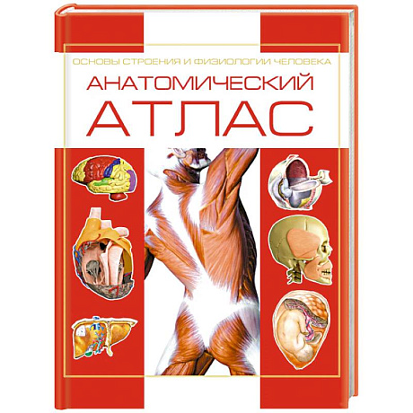 Фото Анатомический атлас. Основы строения и физиологии человека
