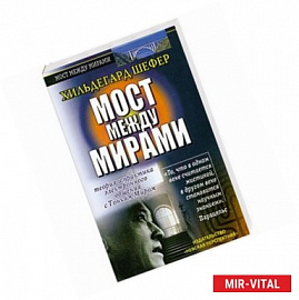 Мост между мирами.Теория и практика электронного общения с Тонким Миром