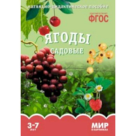 Ягоды садовые. Наглядно-дидактическое пособие