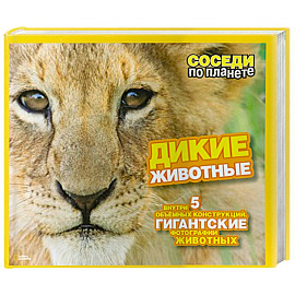 Дикие животные