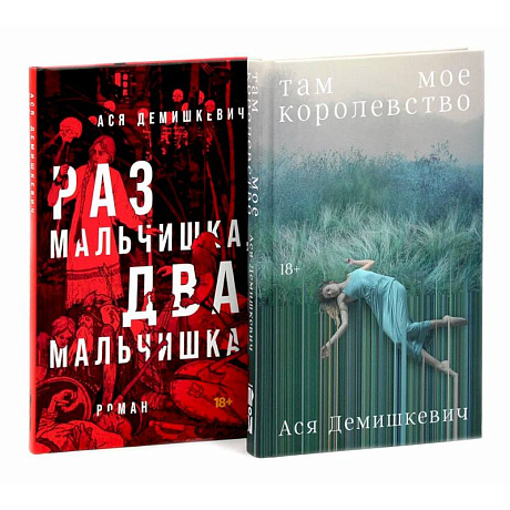 Фото Там мое королевство. Раз мальчишка, два мальчишка (комплект из 2-х книг)