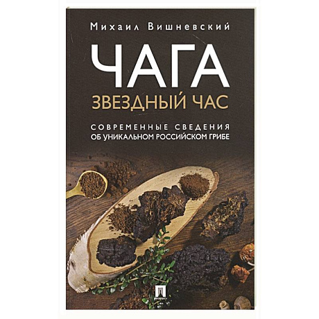 Фото Чага: Звездный час. Современные сведения об уникальном российском грибе