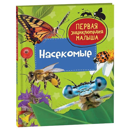 Фото Насекомые