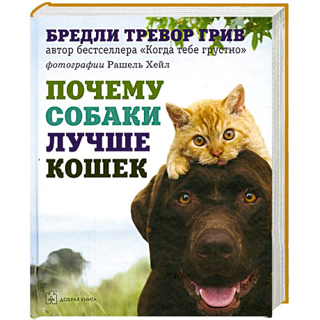 Фото Почему собаки лучше кошек