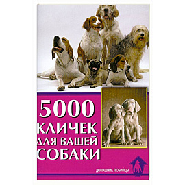 5000 кличек для вашей собаки