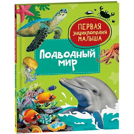 Фото Подводный мир