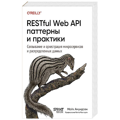Фото RESTful Web API паттерны и практики