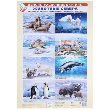 Фото Животные Севера. Методический материал к основной образовательной программе ДОО (8 плакатов)