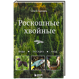 Роскошные хвойные. Виды, посадка, уход