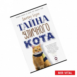 Тайна уличного кота