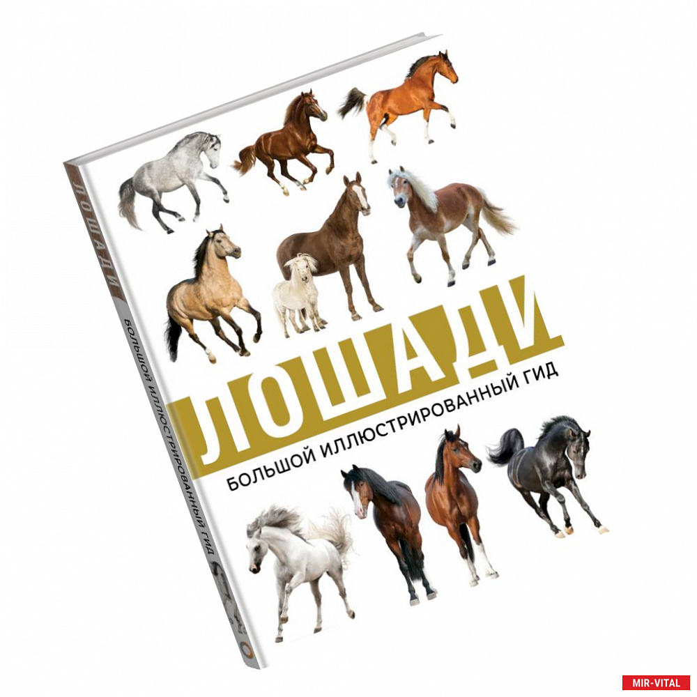 Фото Лошади