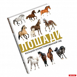 Лошади