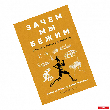 Фото Зачем мы бежим,или Как догнать свою антилопу.Новый взгляд на эволюцию человека