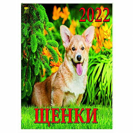 Фото 2022 Календарь Щенки