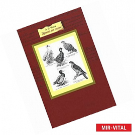 Антон Чехов: Драма на охоте. Повести и рассказы (+DVD)