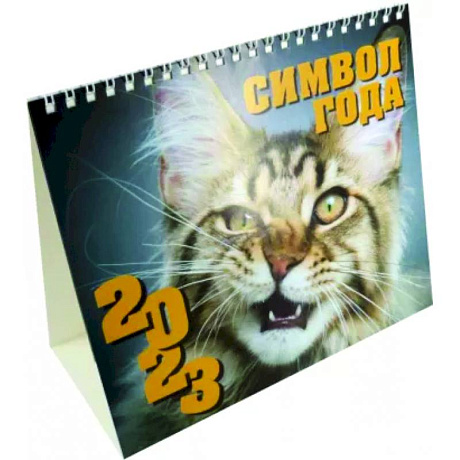Фото Календарь-домик 2023. Кот