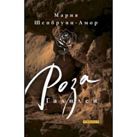 Роза Галилеи