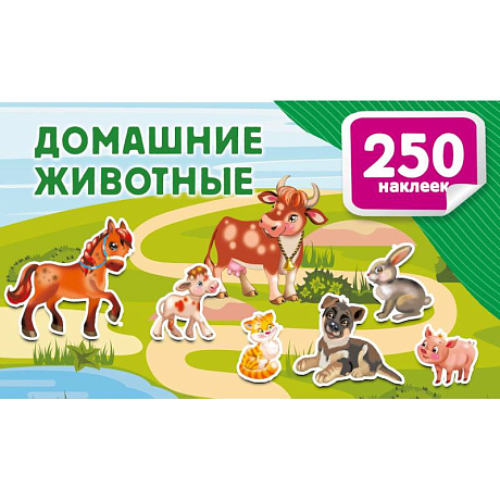 Фото Домашние животные