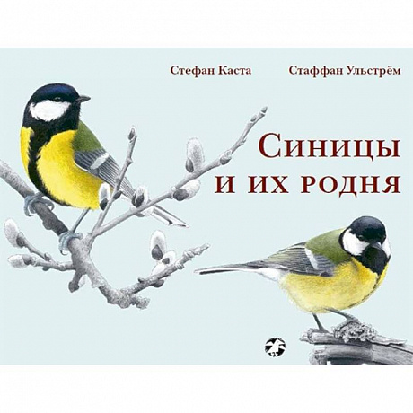 Фото Синицы и их родня