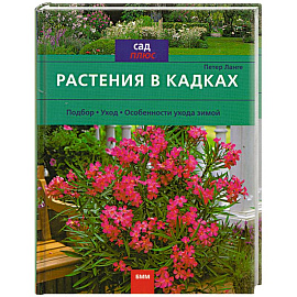 Растения в кадках