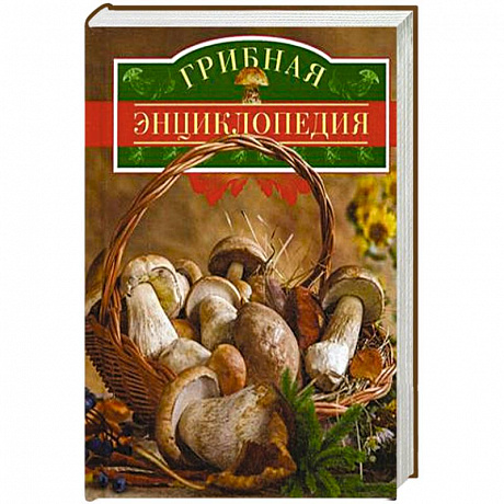 Фото Грибная энциклопедия