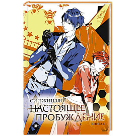 Настоящее пробуждение. Real Awakening. Книга 3