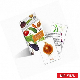 Дидактические карточки. Овощи