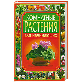 Комнатные растения для начинающих