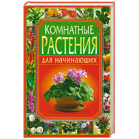 Фото Комнатные растения для начинающих