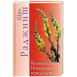Великий вызов. Измерения неведомого