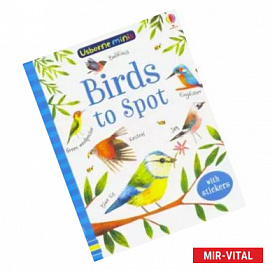 Birds to Spot